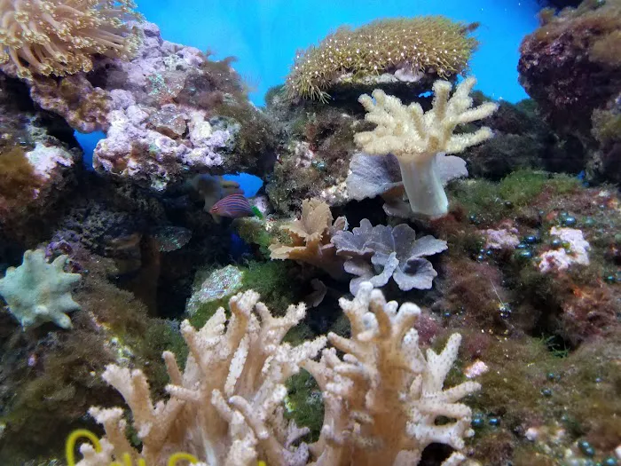 Pet World Warehouse Outlet Picture 9