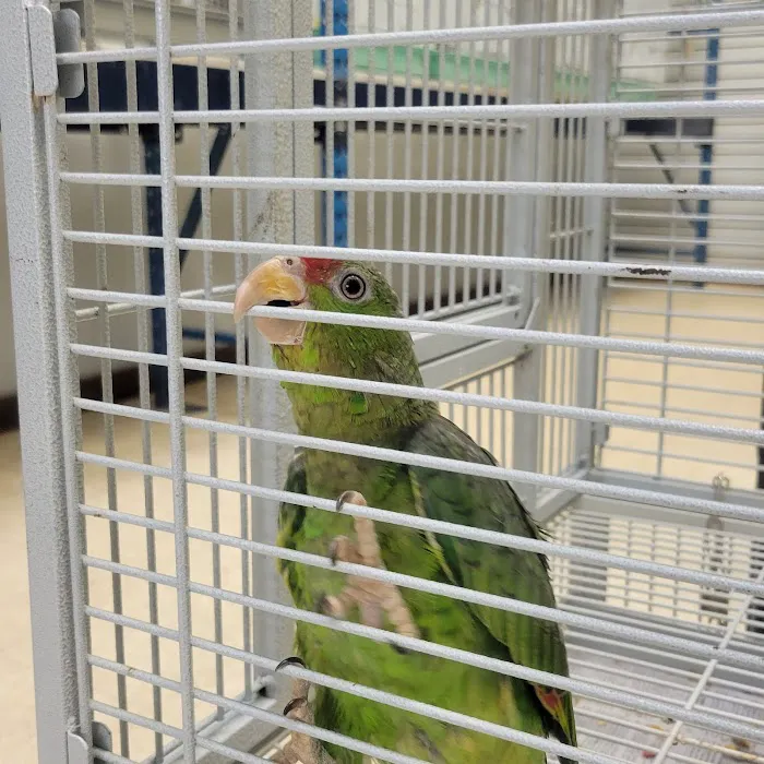 Pet World Warehouse Outlet Picture 7