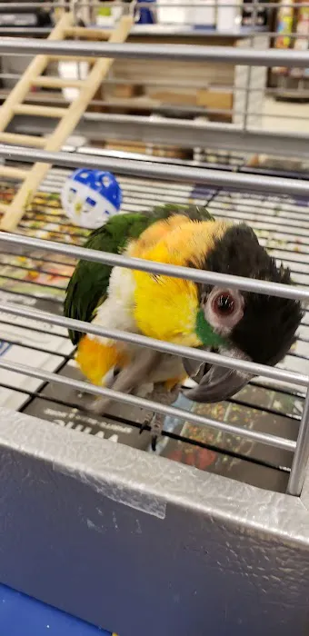 Pet World Warehouse Outlet Picture 2