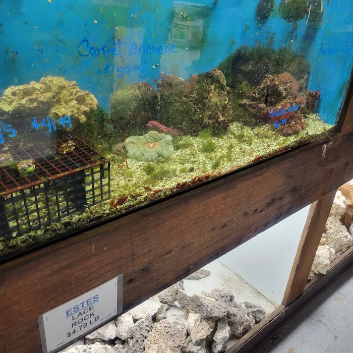 Pet World Warehouse Outlet Picture 4