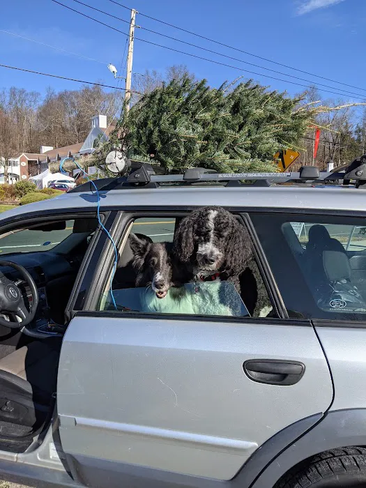 Davis Companion Animal Hospital Picture 2