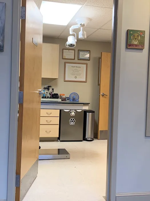 Davis Companion Animal Hospital Picture 4