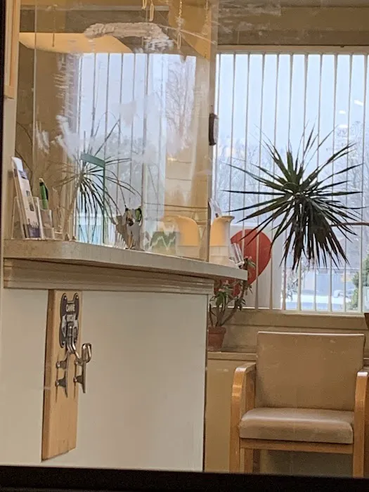 Davis Companion Animal Hospital Picture 3