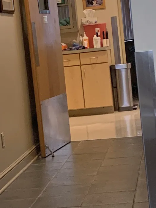 Davis Companion Animal Hospital Picture 6