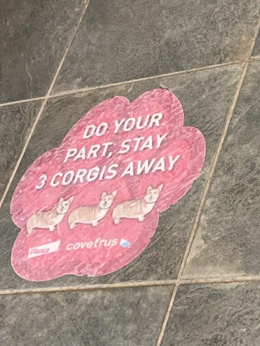 Davis Companion Animal Hospital Picture 5