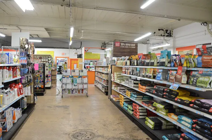 Bark N Scratch Outpost Picture 2