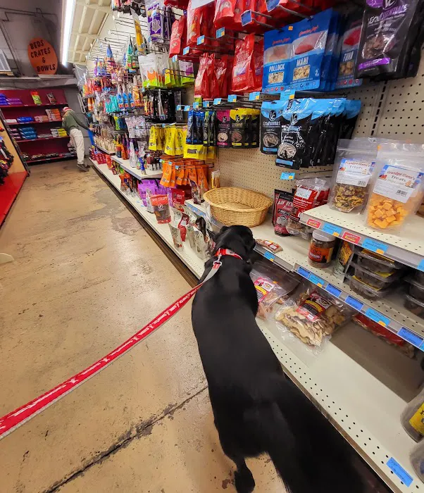 Bark N Scratch Outpost Picture 6