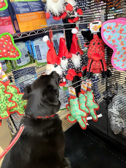 Bark N Scratch Outpost Picture 5