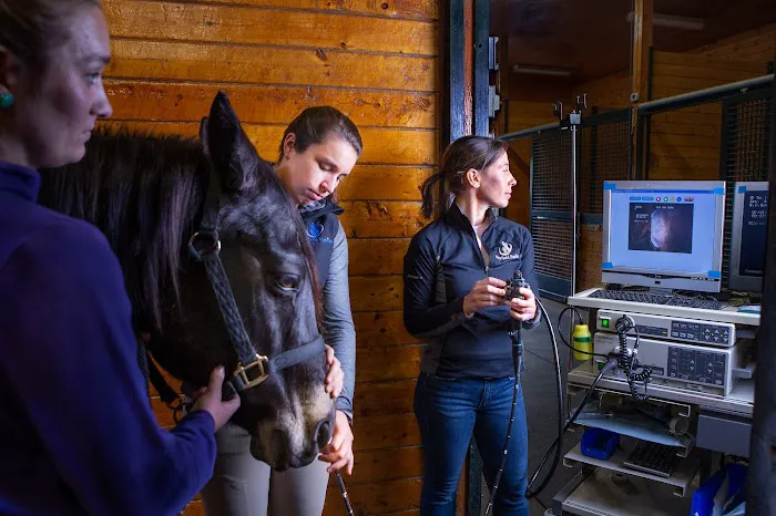 Fairfield Equine Associates Picture 3