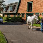 Fairfield Equine Associates