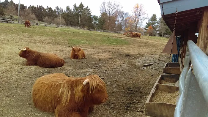 Elwell Paul a DVM Picture 4