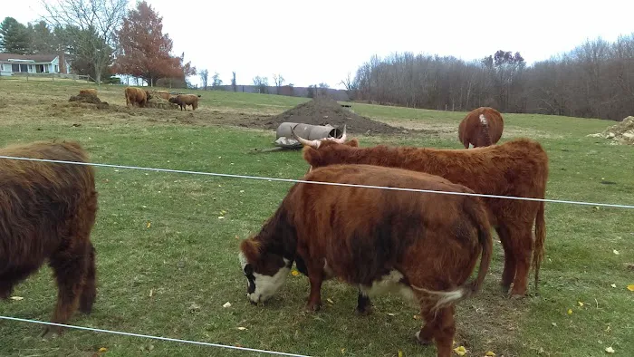 Elwell Paul a DVM Picture 1