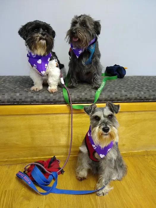 Elwell Paul a DVM Picture 6