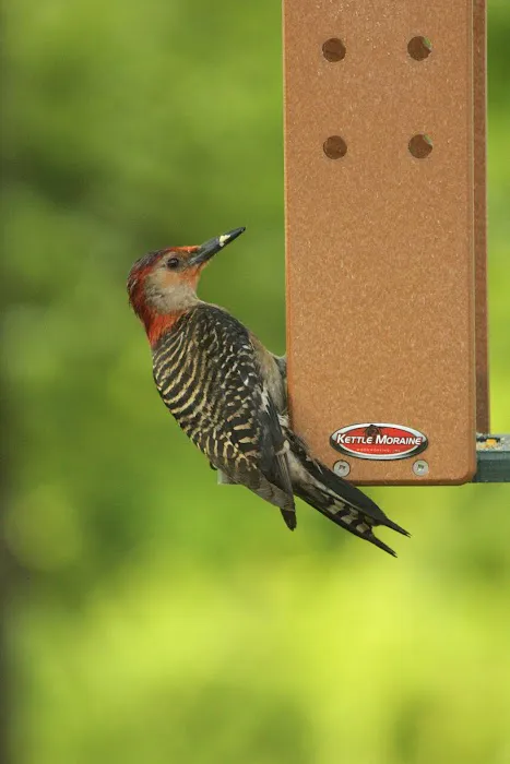 Kettle Moraine Woodworking Picture 3