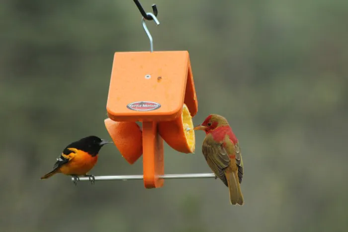 Kettle Moraine Woodworking Picture 2