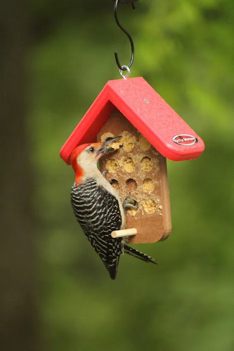 Kettle Moraine Woodworking Picture 6