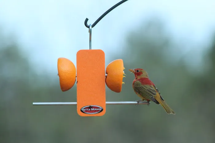 Kettle Moraine Woodworking Picture 7