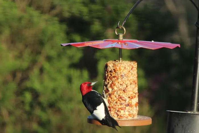 Kettle Moraine Woodworking Picture 4