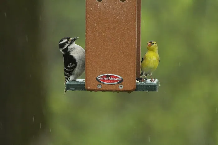 Kettle Moraine Woodworking Picture 5