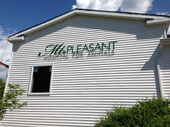 Mt Pleasant Hospital for Animals Picture 2