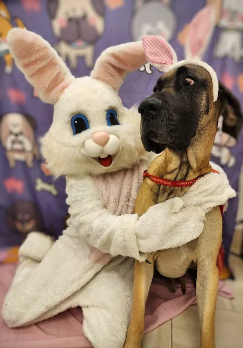 Mt Pleasant Hospital for Animals Picture 1