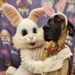 Mt Pleasant Hospital for Animals