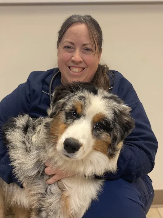 Mt Pleasant Hospital for Animals Picture 10