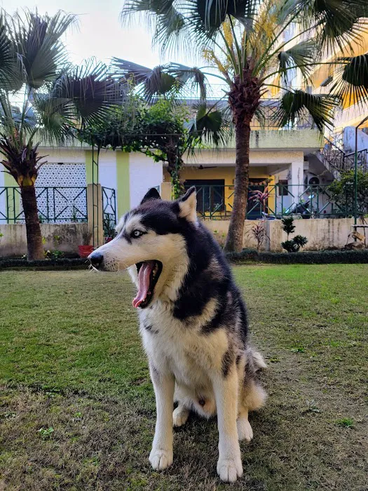 Mt Pleasant Hospital for Animals Picture 5