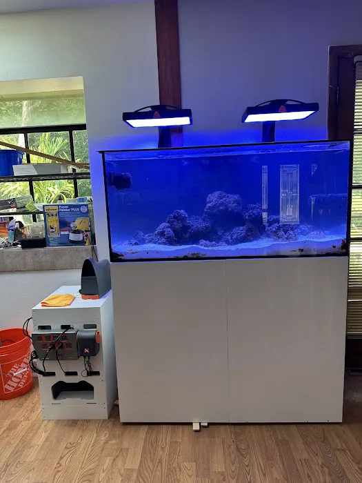 Midwest Aquaculture - Aquarium Maintenance & Design Picture 2