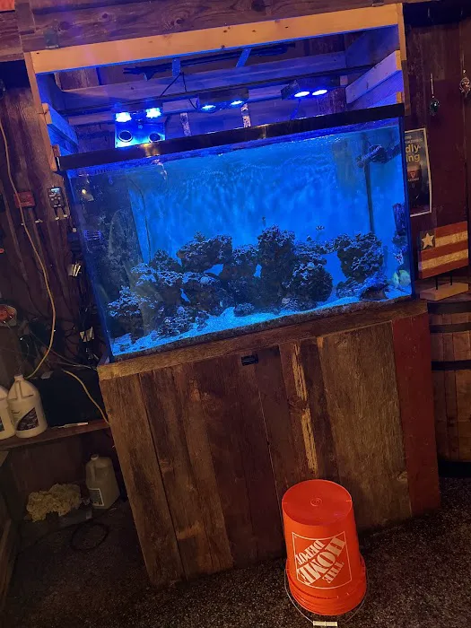 Midwest Aquaculture - Aquarium Maintenance & Design Picture 7