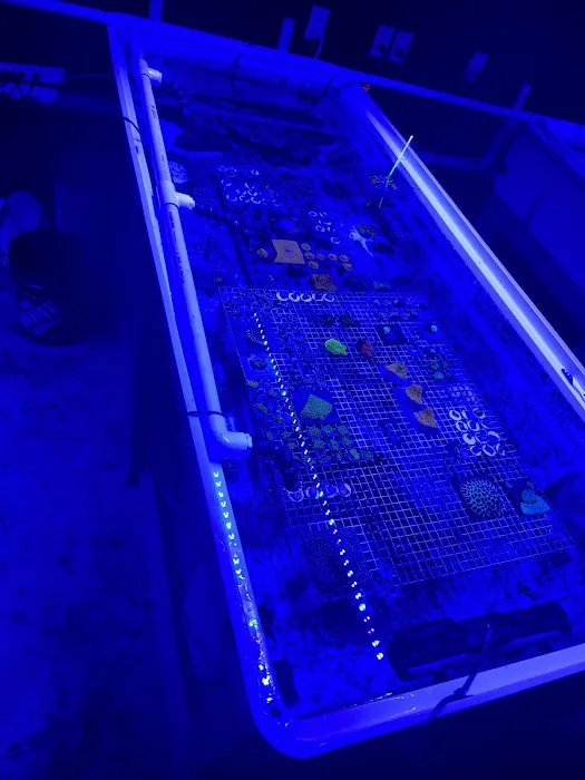 Midwest Aquaculture - Aquarium Maintenance & Design Picture 4