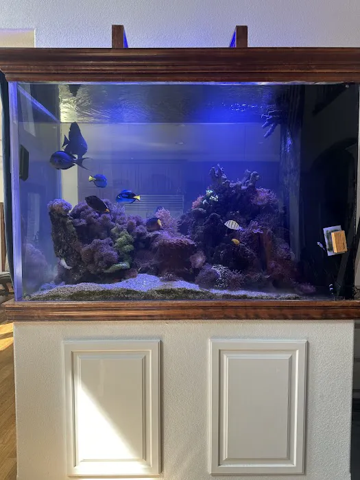 Midwest Aquaculture - Aquarium Maintenance & Design Picture 9