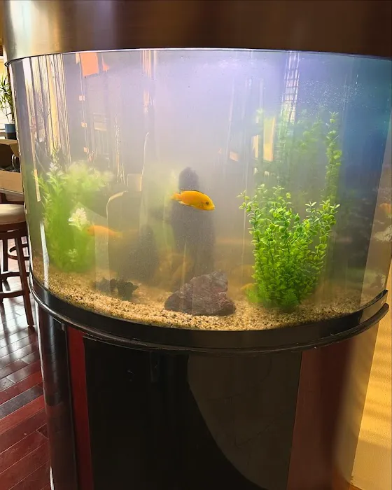 Midwest Aquaculture - Aquarium Maintenance & Design Picture 10