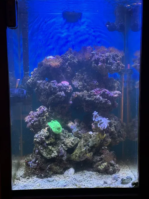 Midwest Aquaculture - Aquarium Maintenance & Design Picture 3