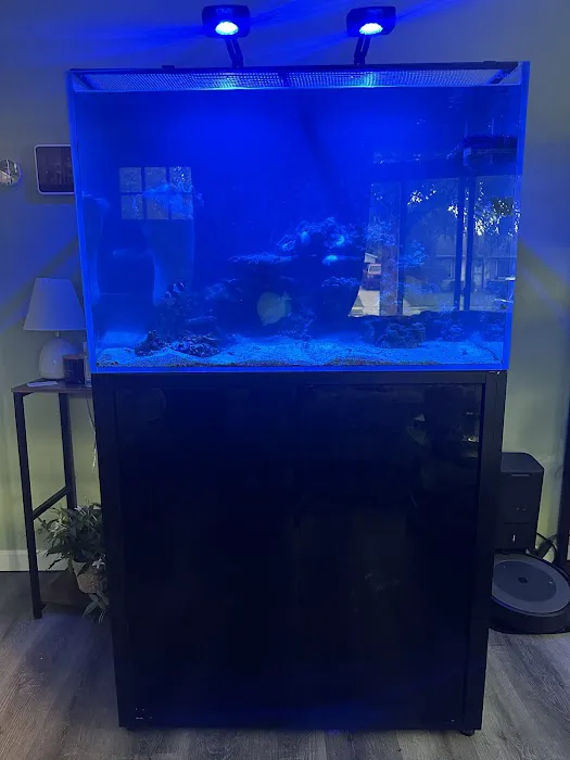 Midwest Aquaculture - Aquarium Maintenance & Design Picture 8