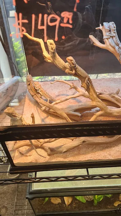 Captive Bred Specialties Picture 2