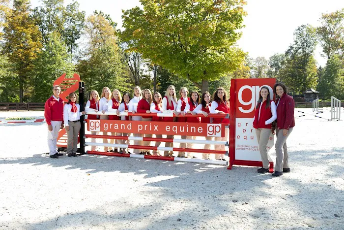 Grand Prix Equine Picture 5