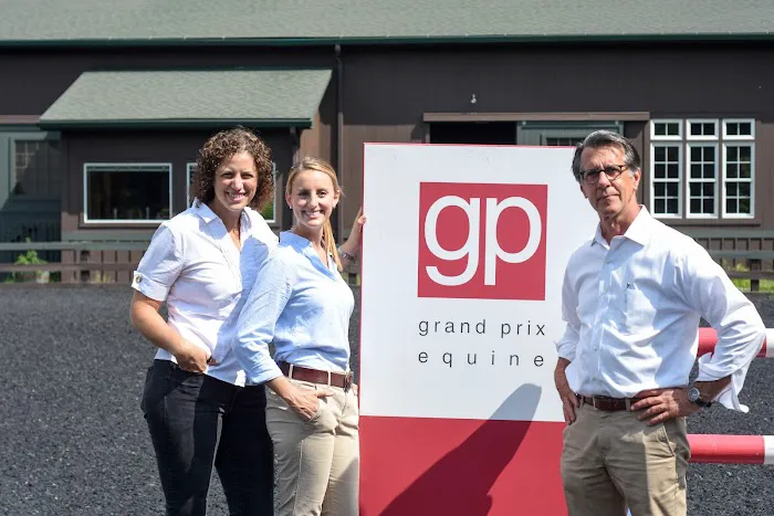 Grand Prix Equine Picture 2