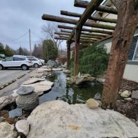 The Koi Tank, LLC ico