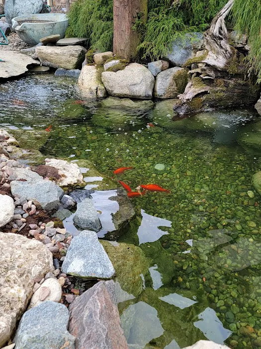 The Koi Tank, LLC Picture 2