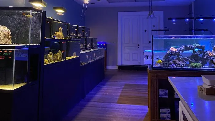 Easy Aqua Fish & Coral Picture 7