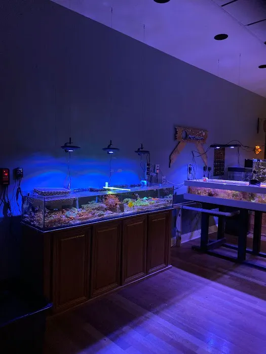 Easy Aqua Fish & Coral Picture 1