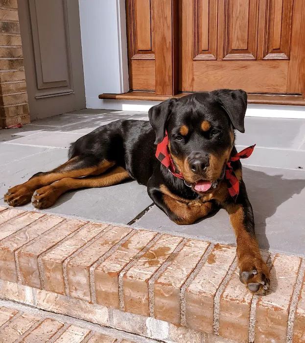 Easton Veterinary Picture 1