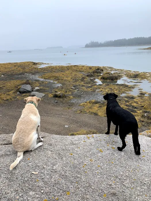 Easton Veterinary Picture 7