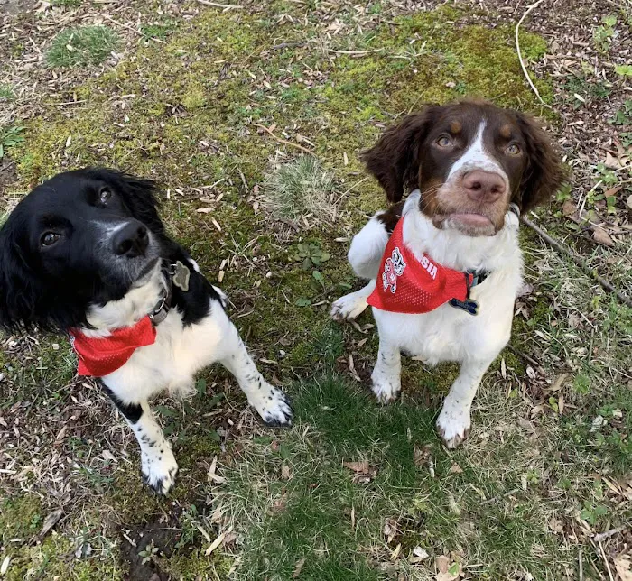 Easton Veterinary Picture 5