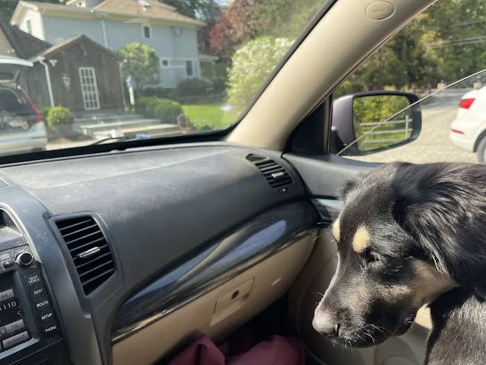 Easton Veterinary Picture 3