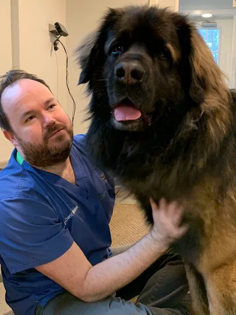 Easton Veterinary Picture 10