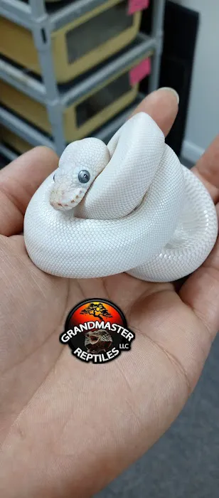 GRANDMASTER REPTILES LLC Picture 5
