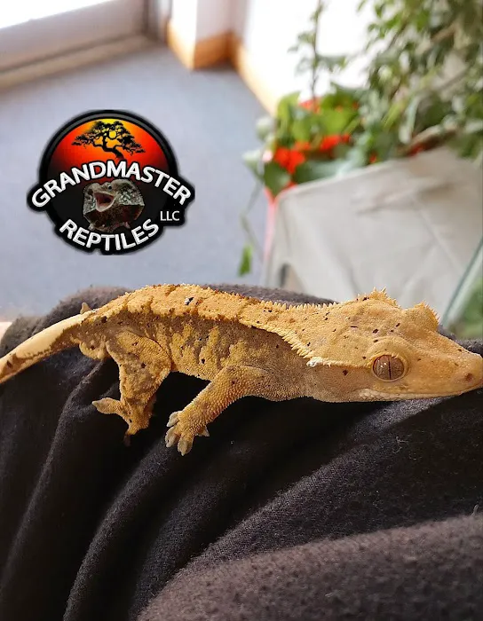 GRANDMASTER REPTILES LLC Picture 6