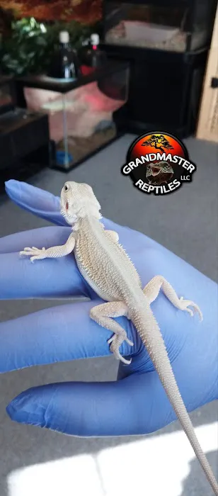 GRANDMASTER REPTILES LLC Picture 2